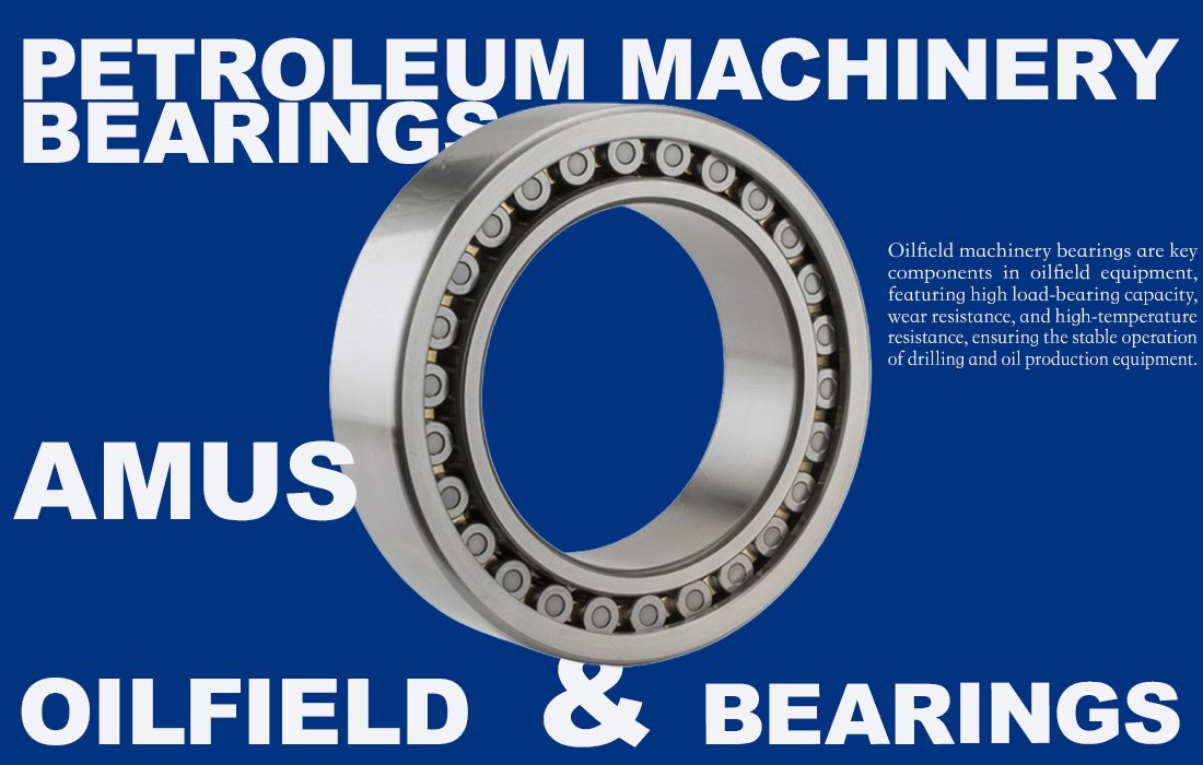 Oil drilling and production equipment bearings