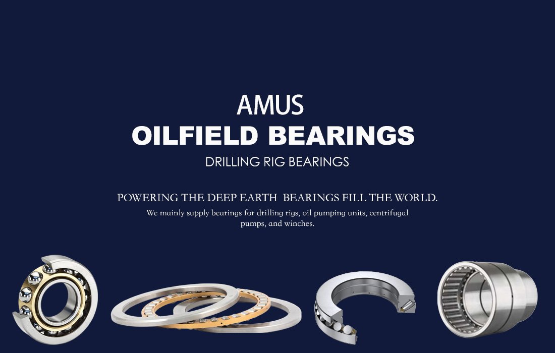 Drilling equipment bearings