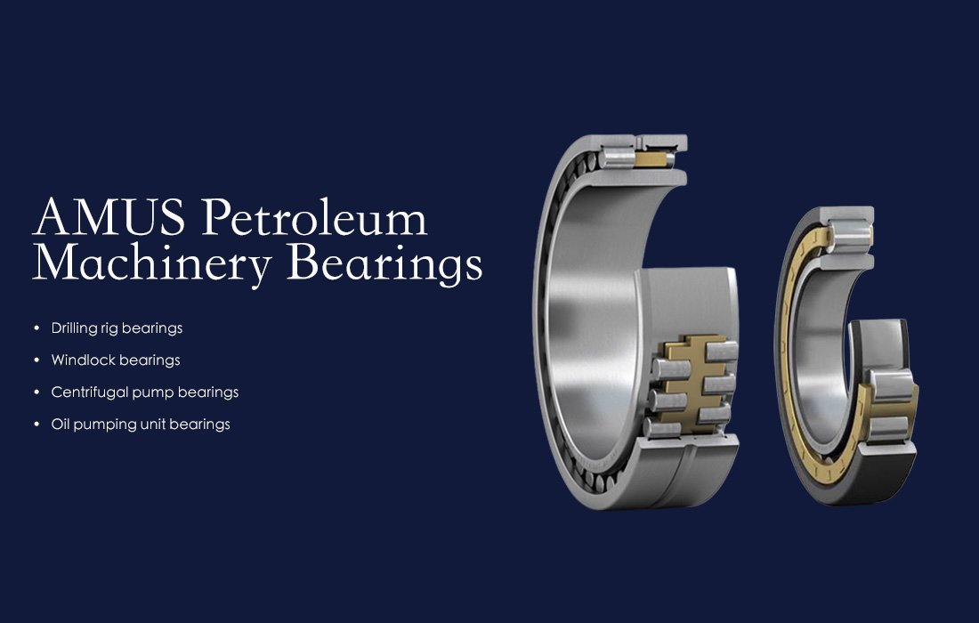Petroleum equipment bearings
