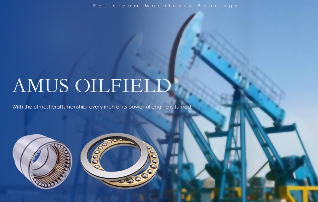 Petroleum equipment bearings