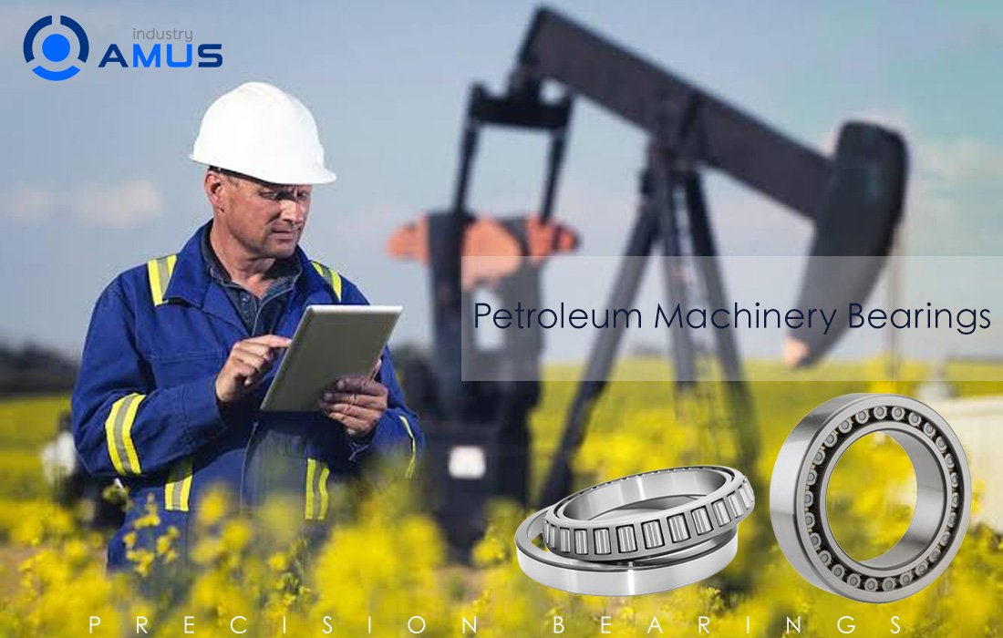 Petroleum equipment bearings