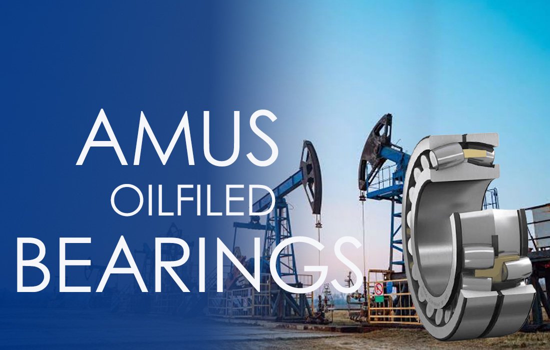Oilfield equipment bearings