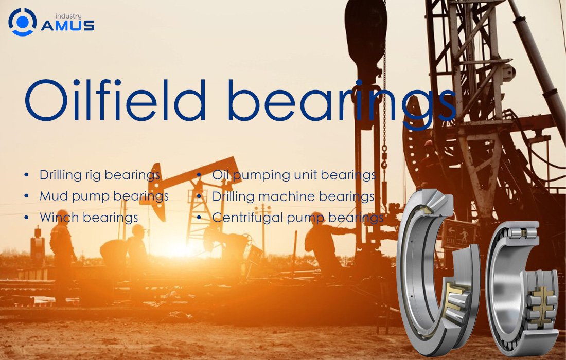 Bearings for petroleum equipment and machinery
