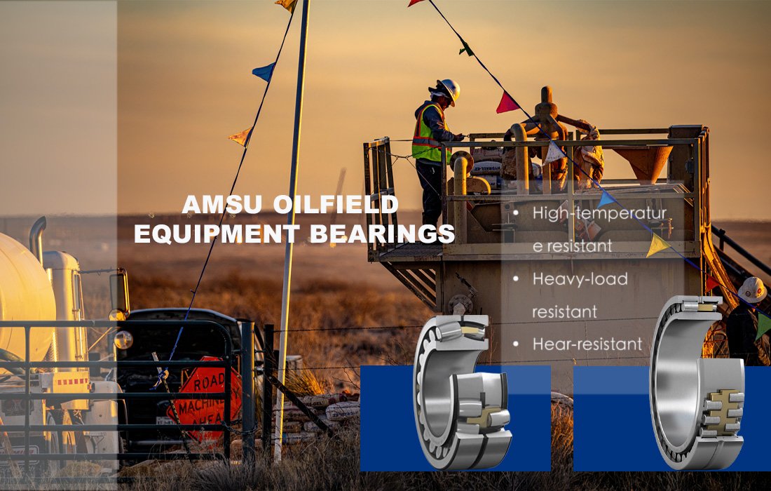 Oil pumping unit bearings