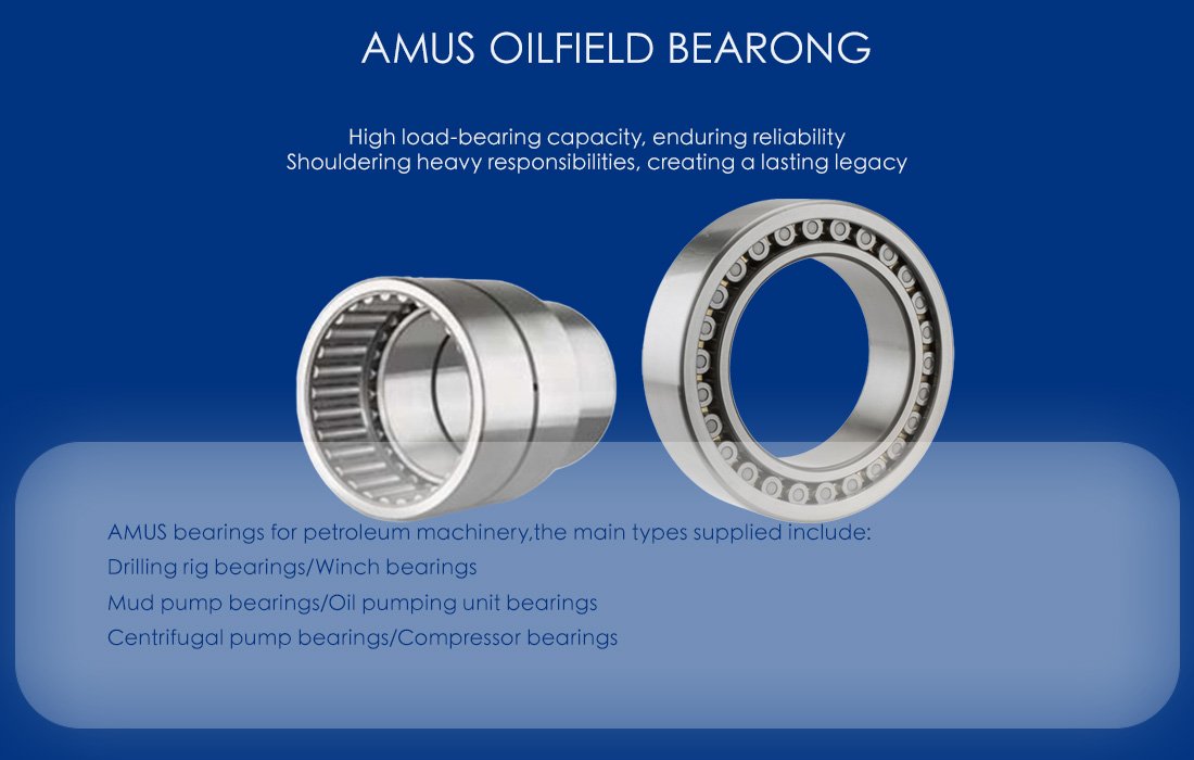 Bearings for oilfield equipment