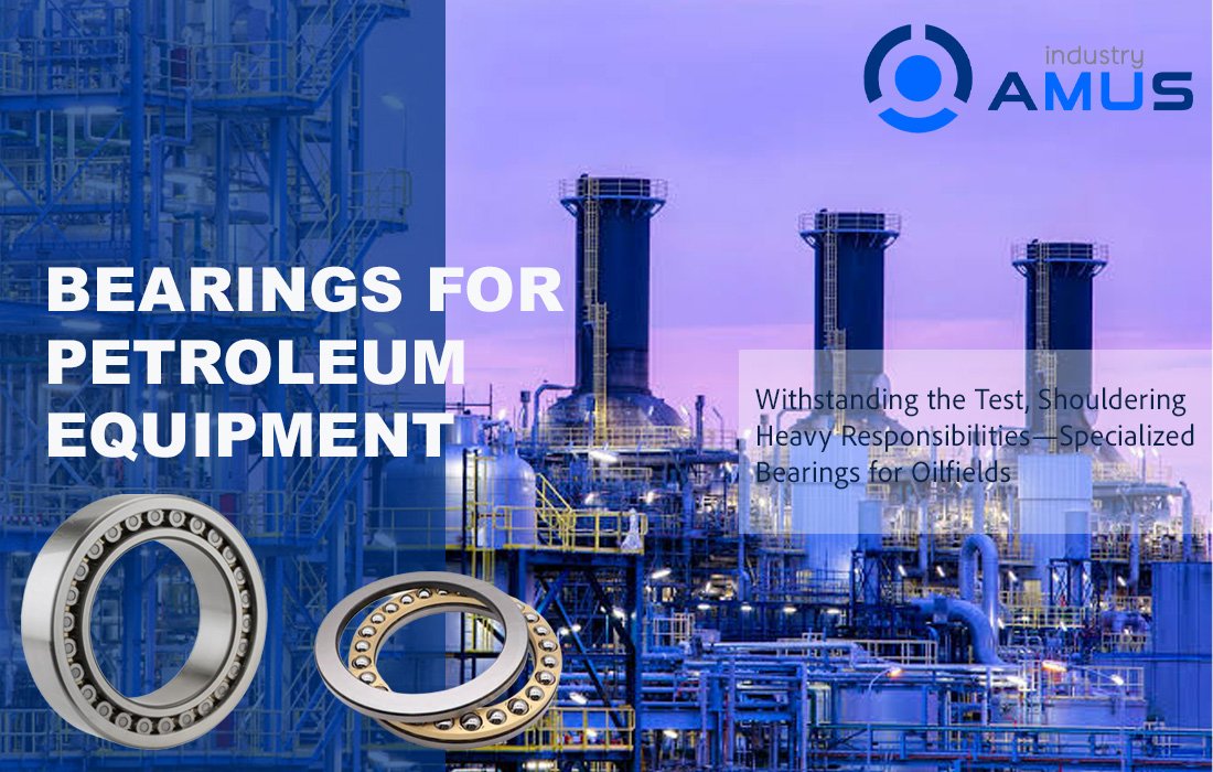 Petroleum machinery bearings