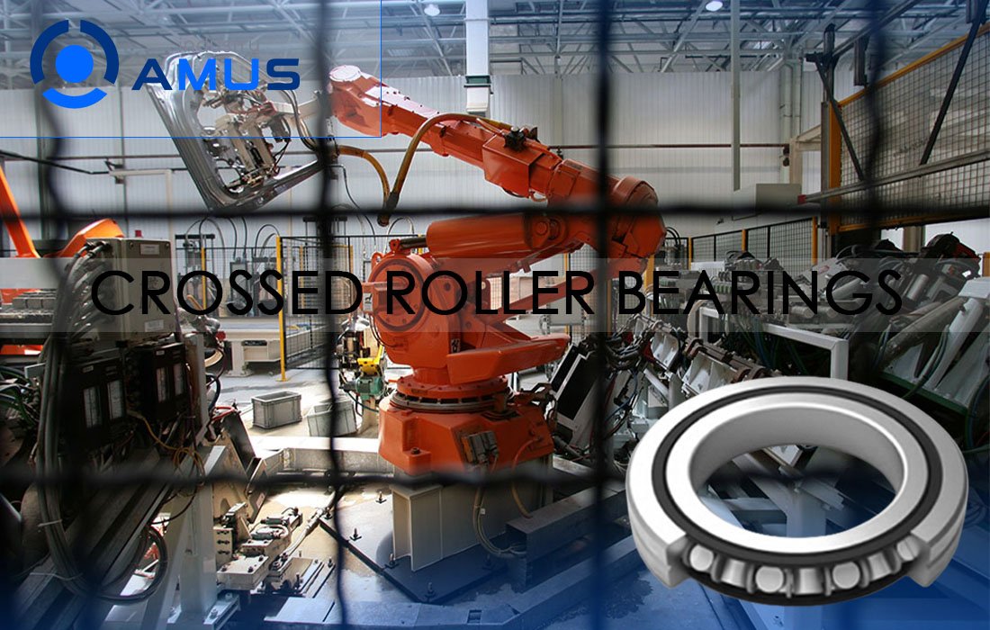 Robot joint bearings